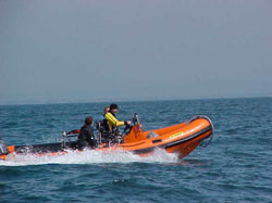 The RIB